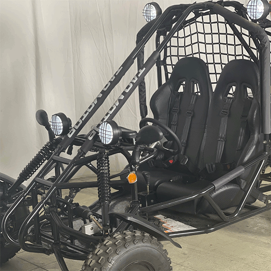 categoria-buggy